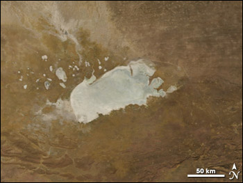 Detail of the Etosh Pan, Namibia