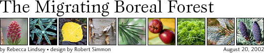 The Migrating Boreal Forest