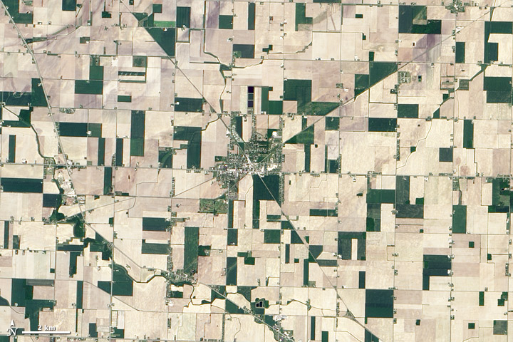 Satellite image of Reese Michigan and the surrounding fields.