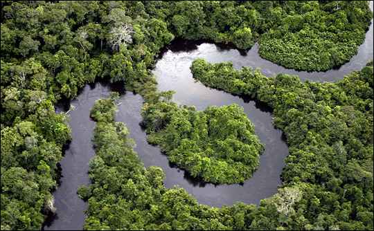 Aerial photograph of a river and oxbows in the Brazilian Amazon.