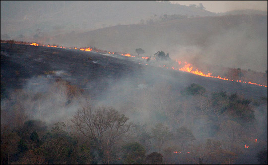 Photograph of fire and smoke in Cambodian rainforest