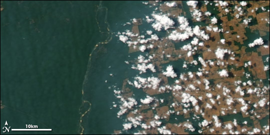 Satellite image comparing cloud patterns over unbroken forest and cleared land