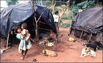 Photograph of displaced aboriginals (Guarani Indians) in Mato Grosso, Brazil