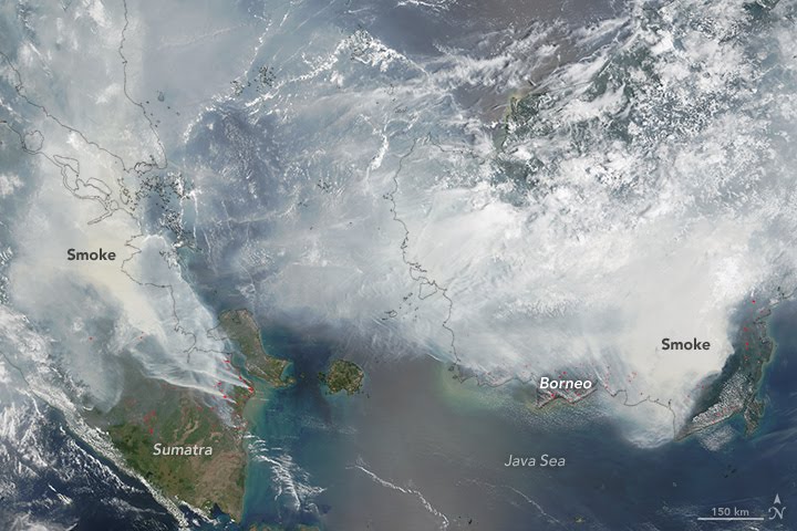 Satellite image of fires in Indonesia.