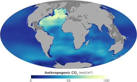 Map of anthropogenic carbon dissolved in the oceans.