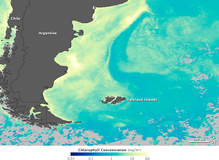 Satellite map of Malvinas March 2012 chlorophyll concnetration.