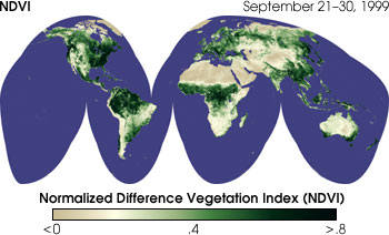 Global Normalized Difference Vegetation Index