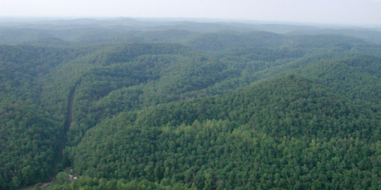 Photograph of forested area north of the Hobet mine in West Virginia