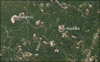 Satellite view of large surface mines in southwestern West Virginia.