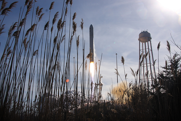 A spacecraft launches over coastal weeds.