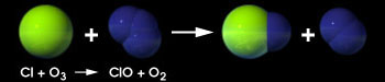 Merging of chlorine and oxygen