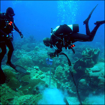 Photograph of two researchers drilling a coral core in the Flower Garden Banks National Marine Sanctuary