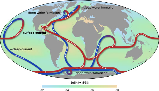 Map of thermohaline circulation