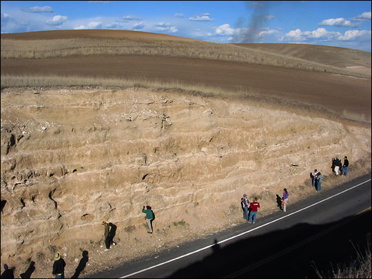 Photograph of students studying loess stratigraphy in a road cut near Palouse, Washington