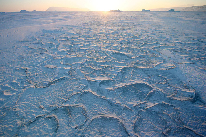 Photograph of sea ice and the Arctic sun low on the horizon.