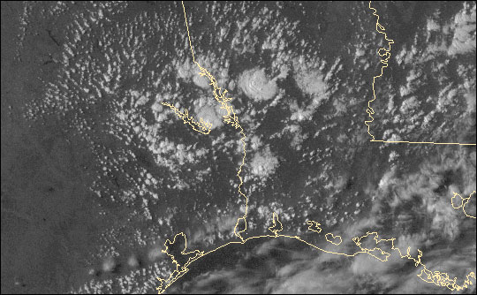 Weather satellite image of afternoon thunderstorms near the Gulf Coast