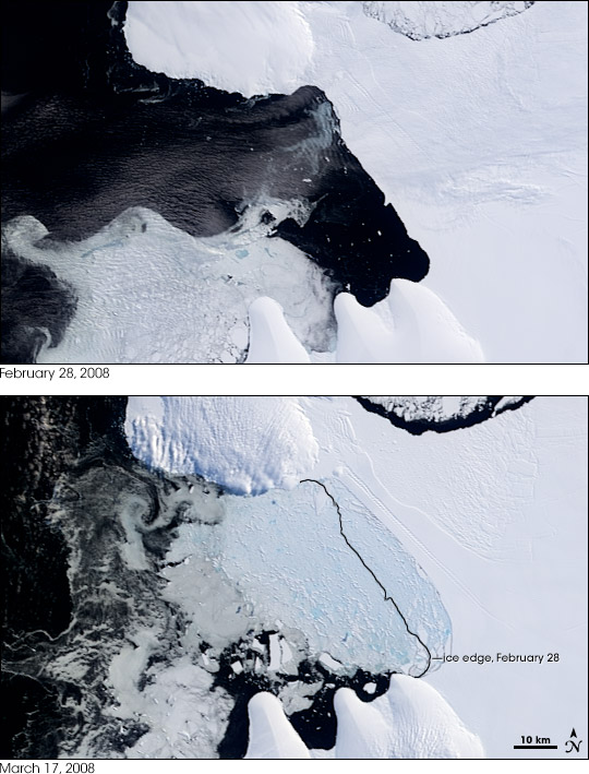 Satellite image overviews of the Wilkins Ice Shelf collapse From February 28 and March 17, 2008.