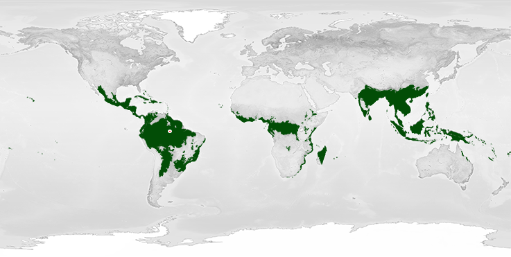 World Map Tropical Rainforests - Allyce Maitilde